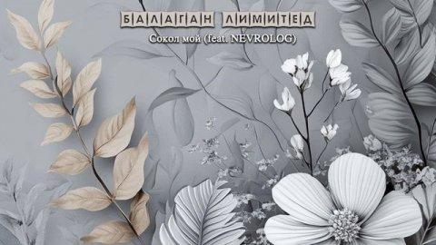 БАЛАГАН ЛИМИТЕД - Сокол мой (feat. NEVROLOG) (audio)